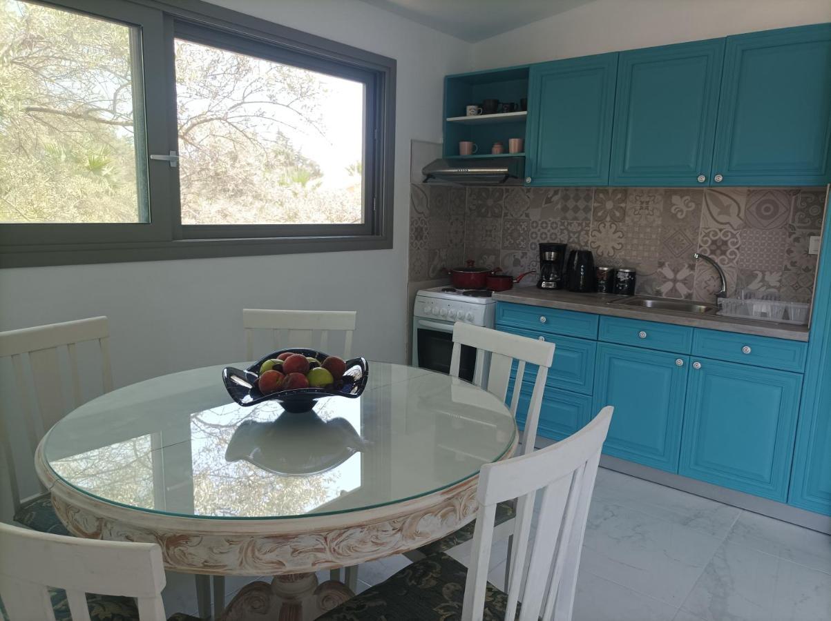 Inspirus Apartments Lefkada City Bagian luar foto