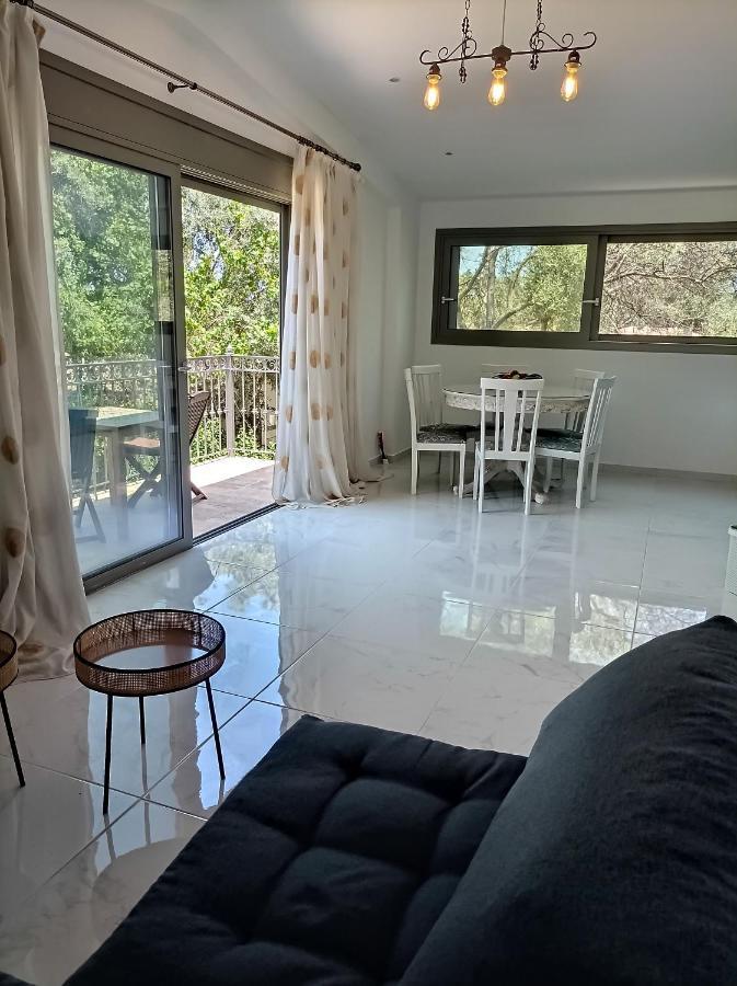 Inspirus Apartments Lefkada City Bagian luar foto